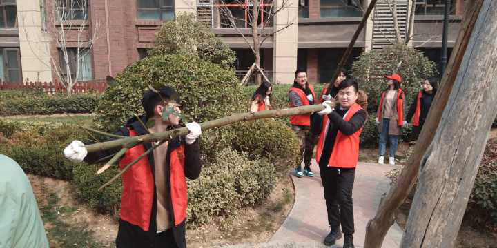 党员植树活动图片